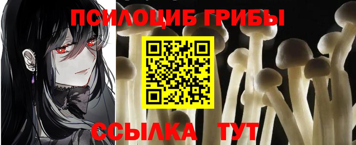 Псилоцибиновые грибы мухоморы  Вход с VPN  Галлюциногенные грибы Magic Shrooms  Кубинка 
